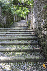 Vieil escalier en pierre © rayman7