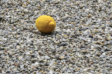 Un citron sur du gravier