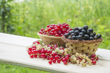 Summer berries