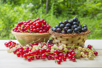 Fototapeta na wymiar Summer berries