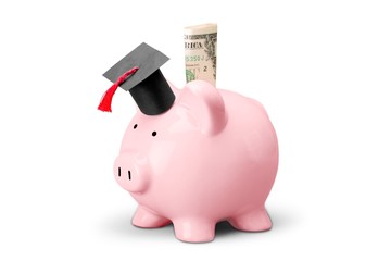 University, Finance, Charity and Relief Work.