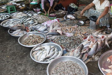 Vendors sell fresh fish and seafood on the street at an early morning street market.Yangon,Myanmar