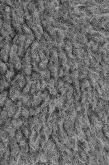 Raw Merino Sheep Wool Macro Closeup, Large Detailed Grey Textured Pattern Copy Space Background, Vertical Gray Texture Studio Shot