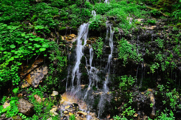 zarter wasserfall im wald