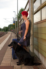 Urlaub mit Hund