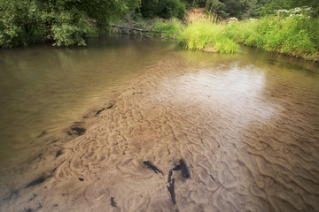 Scenic river landscape