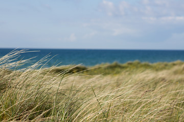 herliche ruhige Düne am Meer