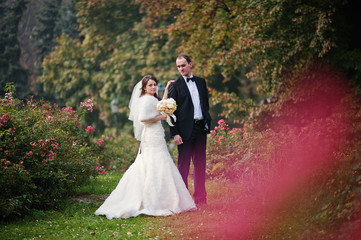 Young elegant and hearty wedding couple in love on streets of Kr
