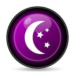 Moon icon