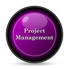 Project management icon