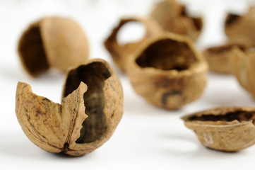 Walnut shell