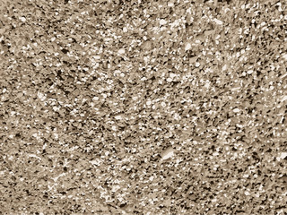 Sand vector texture