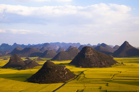 Fototapeta 羅平の菜の花とカルストの山々
