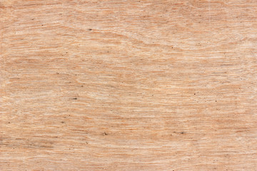Texture of wood background closeup