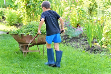 Boy helping to clean vegetable garden