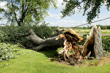 Tornado Storm Damage