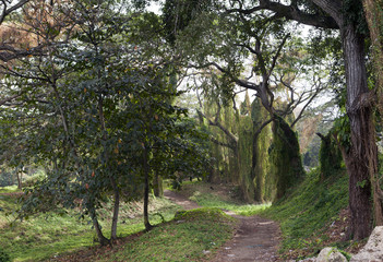 Cuba. Havana. City park