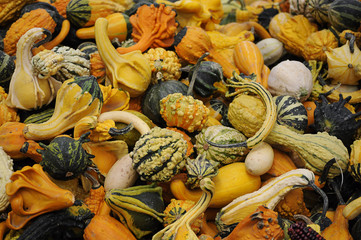 colorful gourds stacked on top of each other