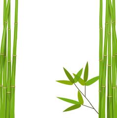 Fototapeta na wymiar Colorful Stems and Bamboo Leaves. Vector Illustration.