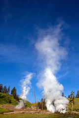 Active geysers in Yellowstone National Park