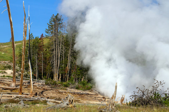Active geyser in Yellowstone National Park