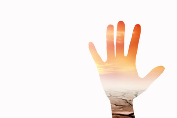 Love the natural world in our hands.