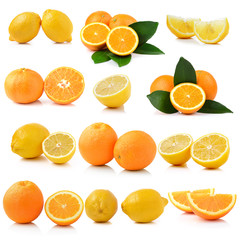 Fresh lemon and Orange fruit on white background