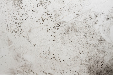 Damp wall