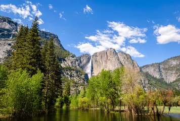 Cercles muraux Parc naturel Parc National de Yosemite