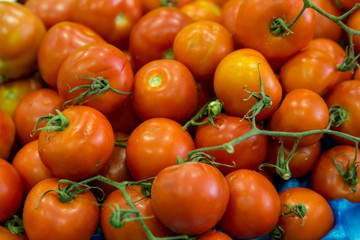 tomatoes group as background