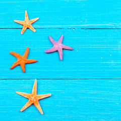 Fototapeta na wymiar starfish on painted rustic wooden boards