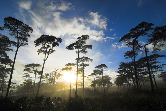 Silhouette Landscape And Photographer At Phu Soi Dao National Park Thailand