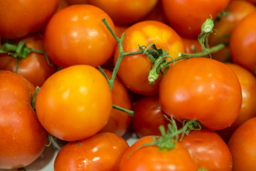 tomatoes group as background