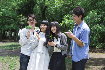 植樹をする学生たち