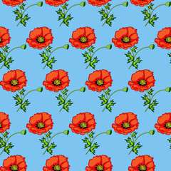 illustration seamless background of poppies on a blue
