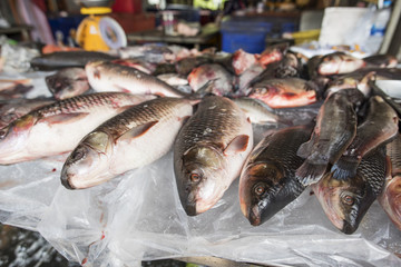 Fish in the market ,Thailand.