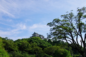 Obraz premium 森の上の和歌山城