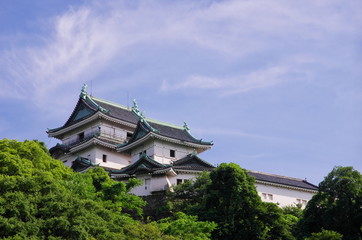 森の上の和歌山城