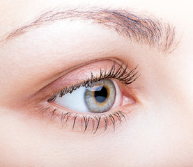 Close-up of female face with eye makeup