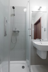 Toilet interior with shower cubicle