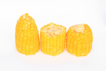 boil corn on white background