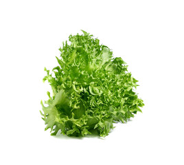 green lettuce leaves isolated on white background