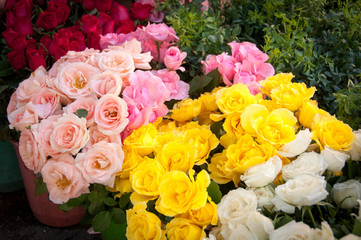 Colorful Variety of Flowers in the Market