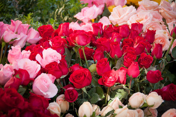 Colorful Variety of Flowers in the Market