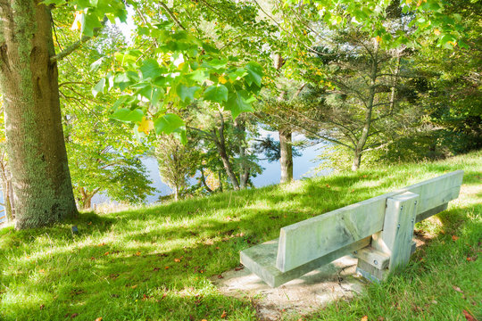 Empty park beanch seat overlooking lake through trees.