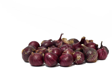 Obraz premium Red onions isolated on white backgrounds.