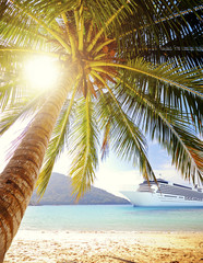 Summer Tropical Island Beach Cruise Ship Concept