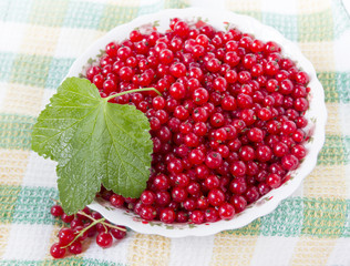 Ripe red currant in ceramic bowl