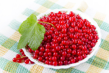 Ripe red currant in ceramic bowl