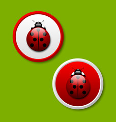 Ladybug icons